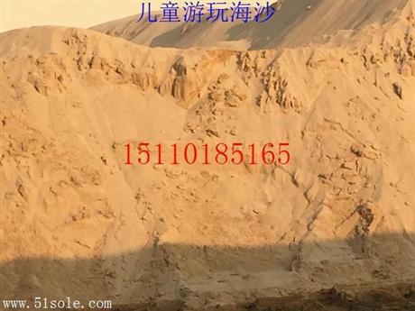 优质海砂价格注海砂价格常年批发