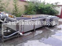 气泡清洗机黄瓜丝瓜清洗机康成清洗设备