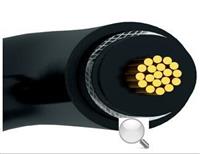 火炬电缆 天康品质