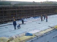 钢结构防水透气膜 年底降价冲销量支持货到付款