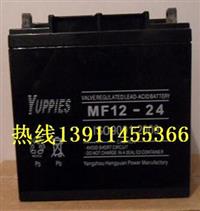 YUPPIES12V24AH蓄电池/优佩斯MF12-24蓄电池厂家直销