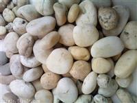 园林绿化工程专用3-5cm,5-8cm天然鹅卵石生产厂家